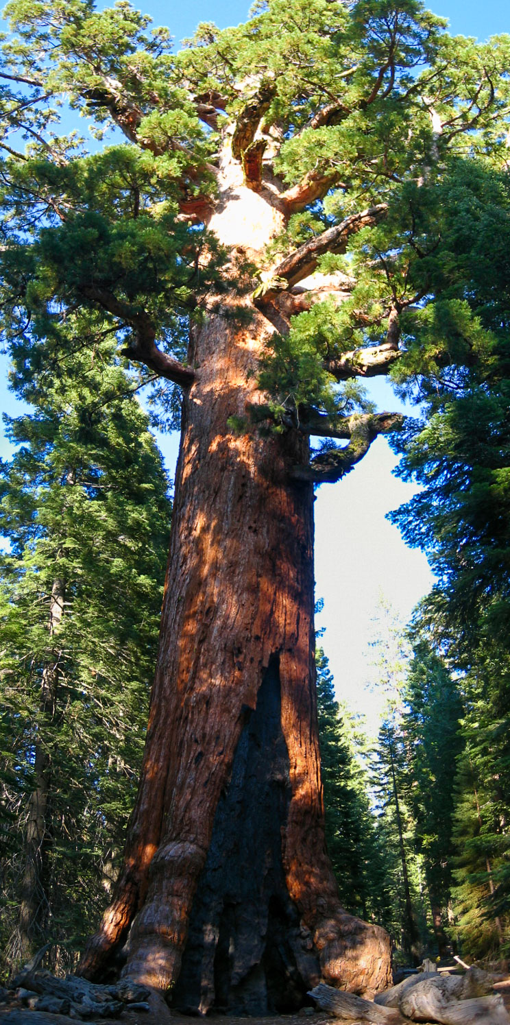 09 USA 2008 fabien et leslie 204 Panorama